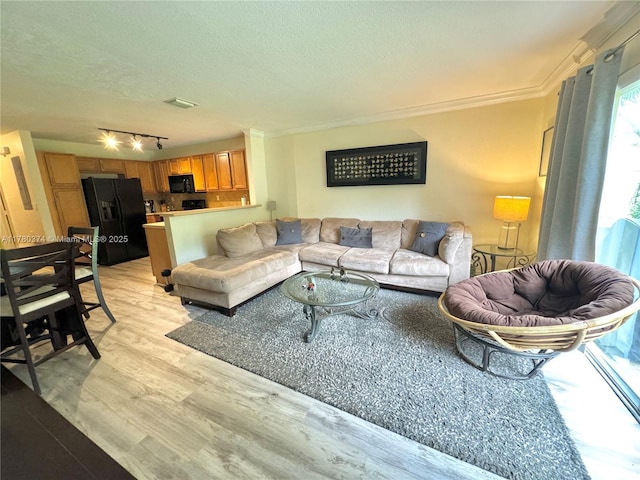 living room featuring visible vents, a textured ceiling, crown molding, light wood finished floors, and rail lighting