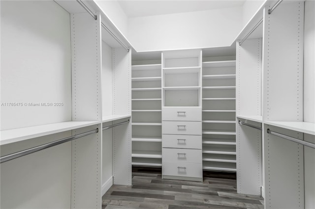 walk in closet with wood finished floors