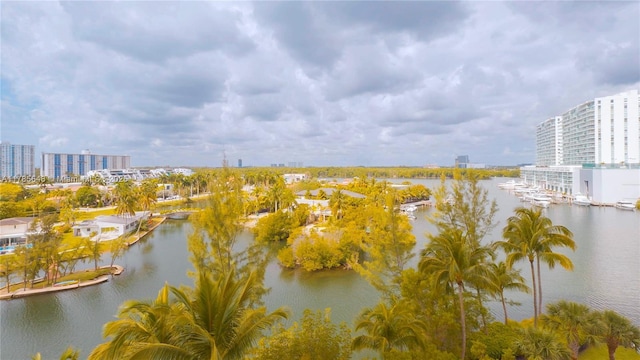 property view of water featuring a city view