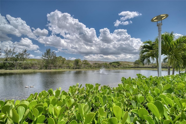10240 NW 72nd Ter, Doral, FL 33178 - photo 50
