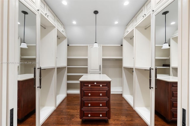 6320 Hancock Rd, Southwest Ranches, FL 33330 - spacious closet featuring dark wood-style floors