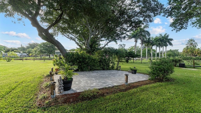 5010 SW 201st Ter, Southwest Ranches, FL 33332 - surrounding community with a lawn and a patio area