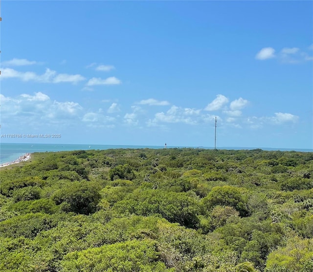 1111 Crandon Blvd Unit B804, Key Biscayne, FL 33149 - view of landscape with a water view