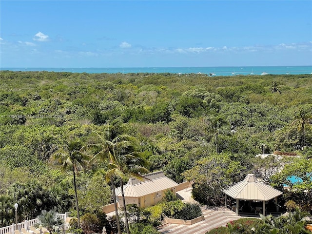 1111 Crandon Blvd Unit B804, Key Biscayne, FL 33149 - drone / aerial view featuring a water view and a view of trees