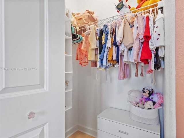 walk in closet featuring wood finished floors