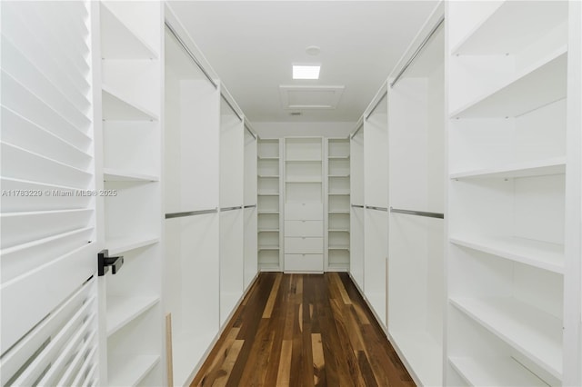 spacious closet featuring dark wood finished floors and attic access