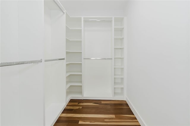 spacious closet featuring wood finished floors