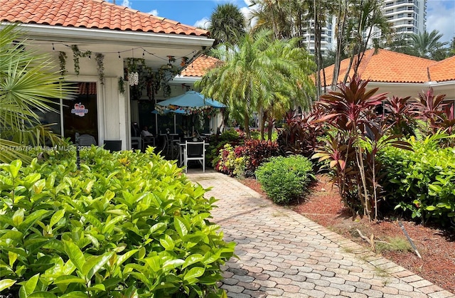 19101 NE 36th Ct Unit 807, Aventura, FL 33180 - view of yard