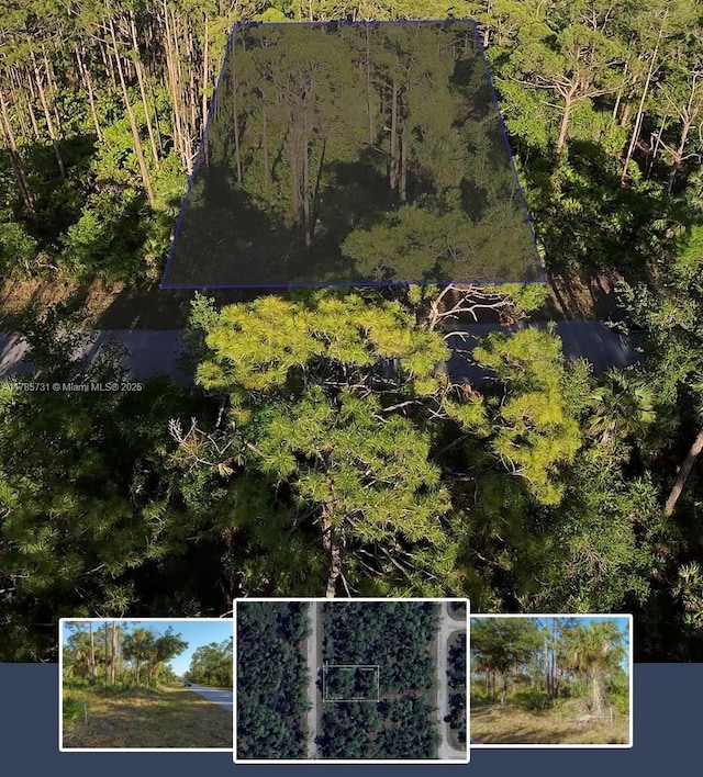 478 Olmstead St, Port Charlotte, FL 33953 - photo 1