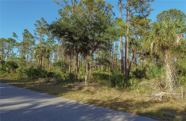 478 Olmstead St, Port Charlotte, FL 33953 - photo 4