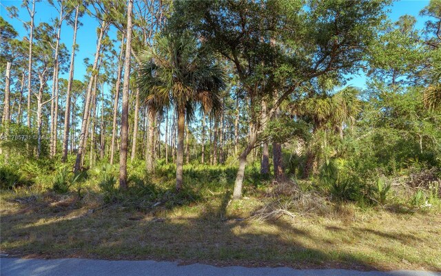 478 Olmstead St, Port Charlotte, FL 33953 - photo 5