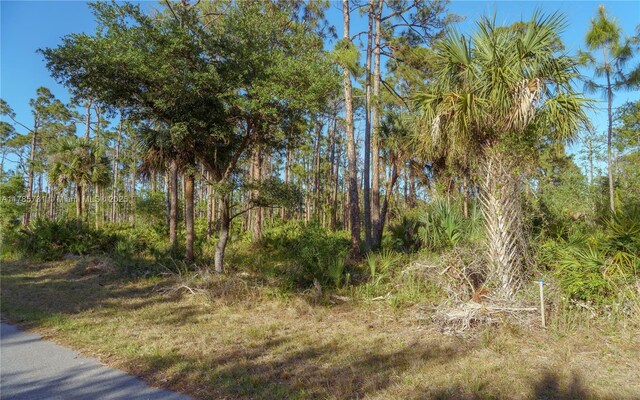 478 Olmstead St, Port Charlotte, FL 33953 - photo 6