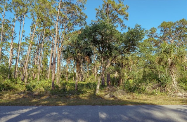 478 Olmstead St, Port Charlotte, FL 33953 - photo 7