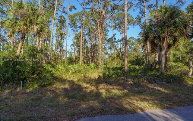478 Olmstead St, Port Charlotte, FL 33953 - photo 9