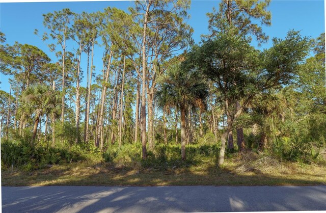 478 Olmstead St, Port Charlotte, FL 33953 - photo 10