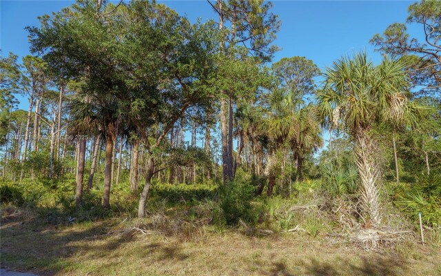 478 Olmstead St, Port Charlotte, FL 33953 - photo 14