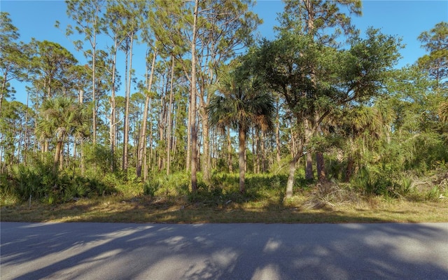 478 Olmstead St, Port Charlotte, FL 33953 - photo 15