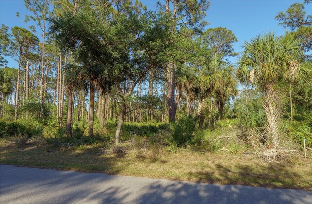 478 Olmstead St, Port Charlotte, FL 33953 - photo 16