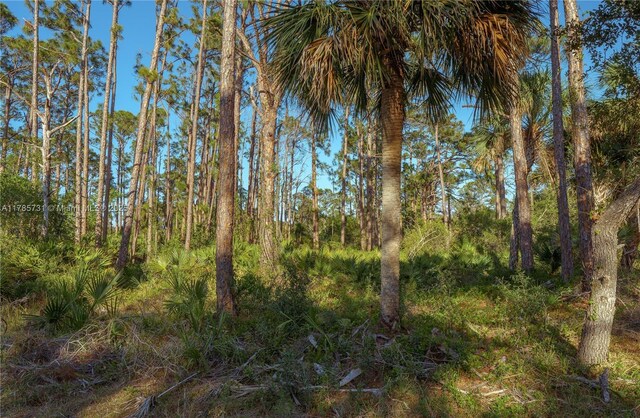 478 Olmstead St, Port Charlotte, FL 33953 - photo 17