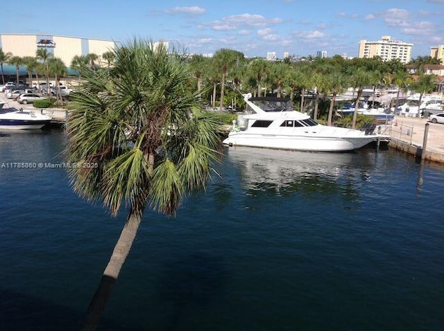 view of dock with a water view