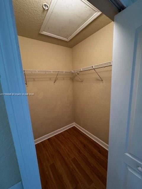 1017 Shoma Dr Unit 462, Royal Palm Beach, FL 33414 - walk in closet featuring attic access and dark wood-style flooring