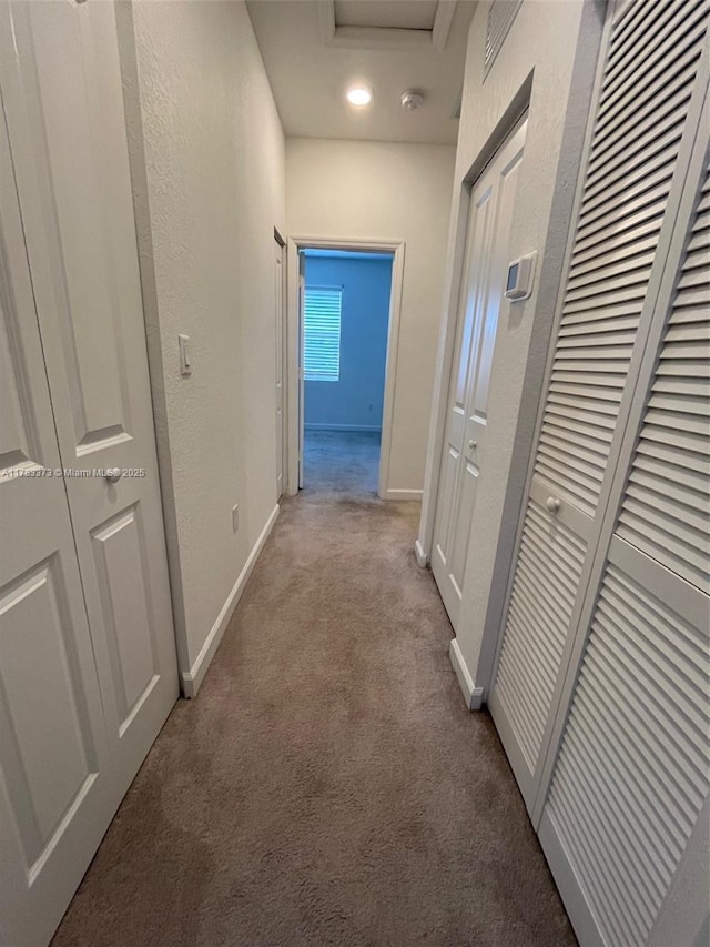 12121 NW 23rd Ct Unit 12121, Miami, FL 33167 - hall with carpet floors and a textured wall