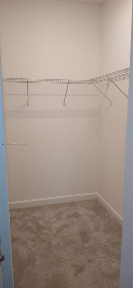 12121 NW 23rd Ct Unit 12121, Miami, FL 33167 - spacious closet with carpet flooring
