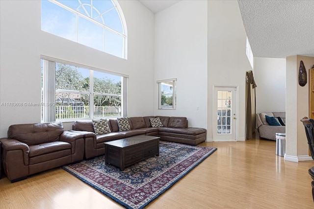 13063 NW 11th Ct, Sunrise, FL 33323 - living area with wood finished floors, a high ceiling, plenty of natural light, and baseboards