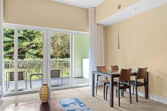entryway featuring a high ceiling and carpet