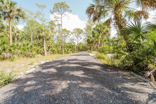 398 35th Ave NW, Naples, FL 34120 - view of street