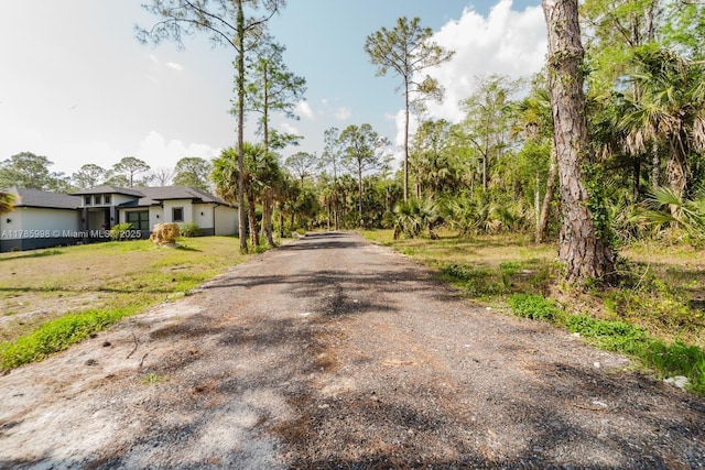 398 35th Ave NW, Naples, FL 34120 - view of street