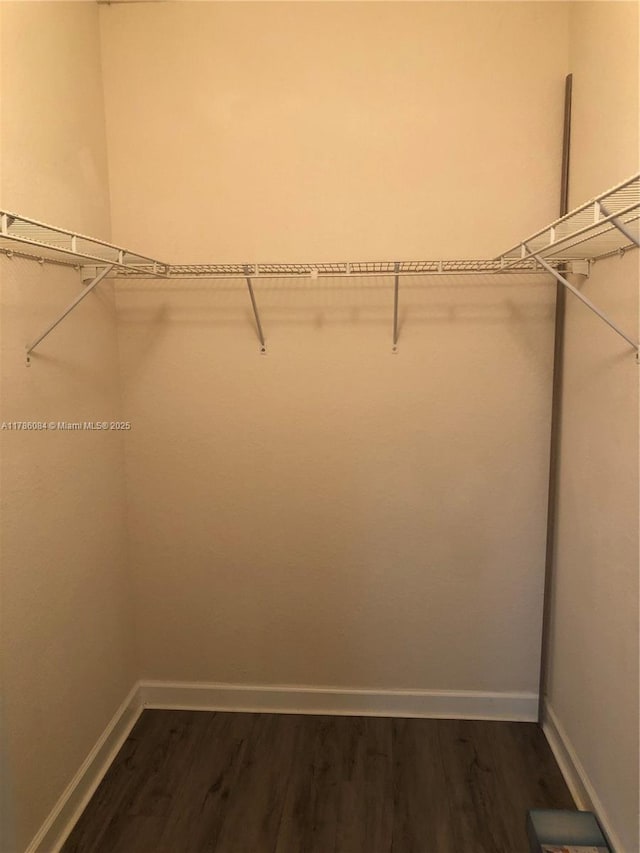 spacious closet with dark wood-style floors