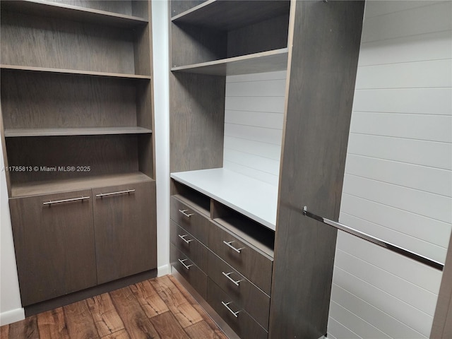 spacious closet featuring dark wood-style floors