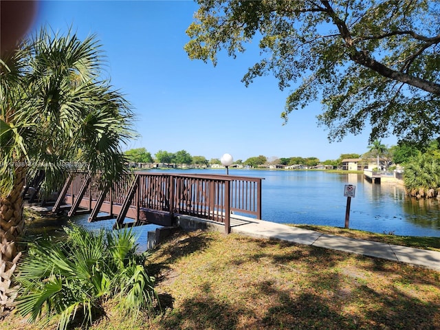 dock area with a water view