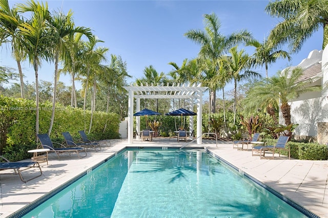 7765 SW 54th Ct Unit 7765, Miami, FL 33143 - community pool with a pergola and a patio area