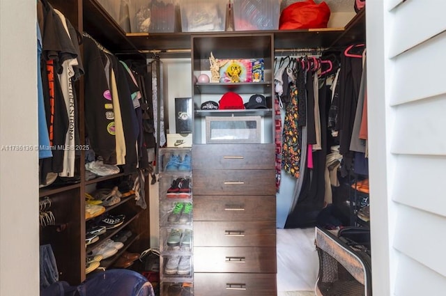 view of walk in closet
