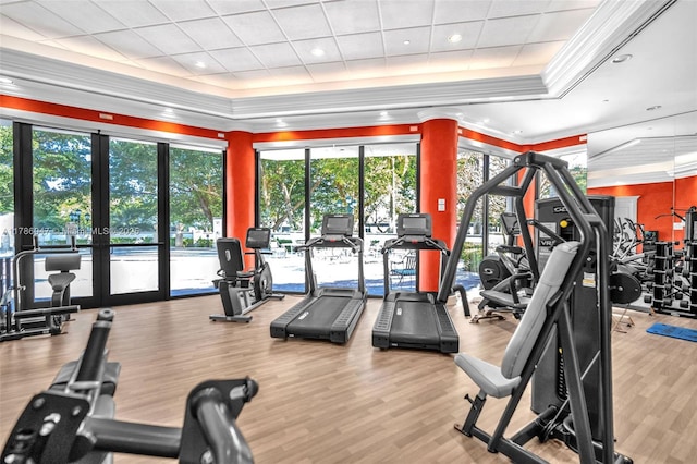 2000 Island Blvd Unit 1704, Aventura, FL 33160 - exercise room featuring crown molding, wood finished floors, and french doors
