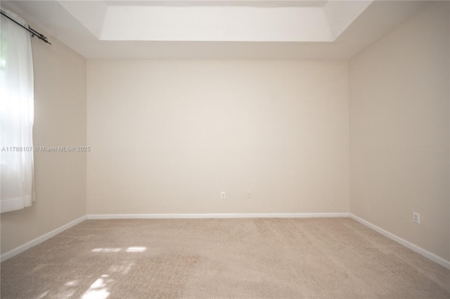 445 NE 21st Ave, Homestead, FL 33033 - unfurnished room featuring light carpet and a raised ceiling