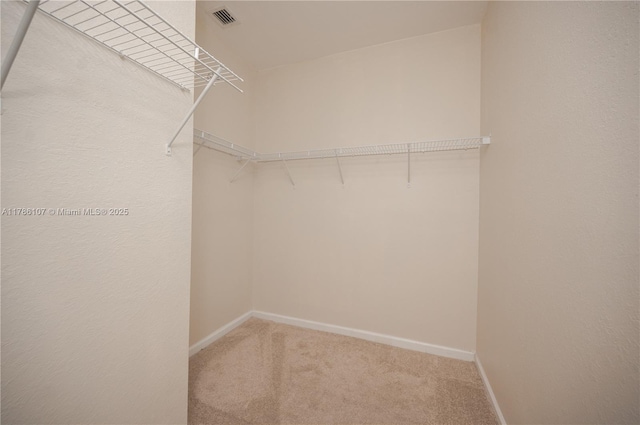 445 NE 21st Ave, Homestead, FL 33033 - spacious closet featuring light colored carpet