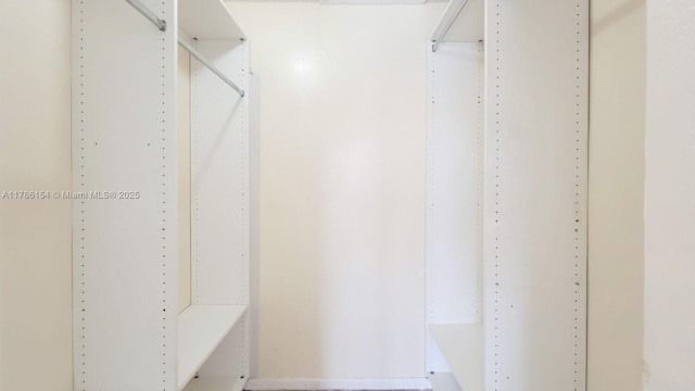view of walk in closet