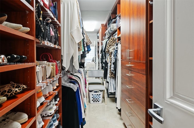 view of spacious closet
