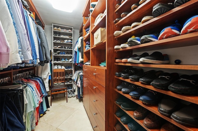 view of spacious closet