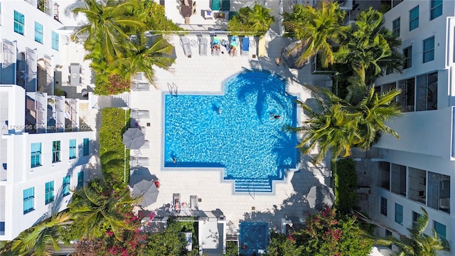 bird's eye view