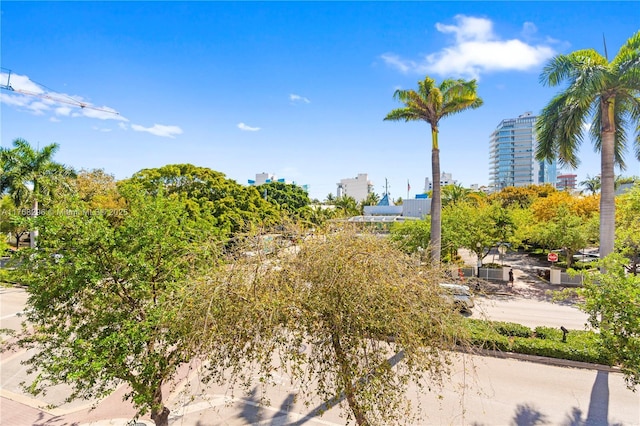 110 Washington Ave Unit 2307, Miami Beach, FL 33139 - view of yard featuring a view of city