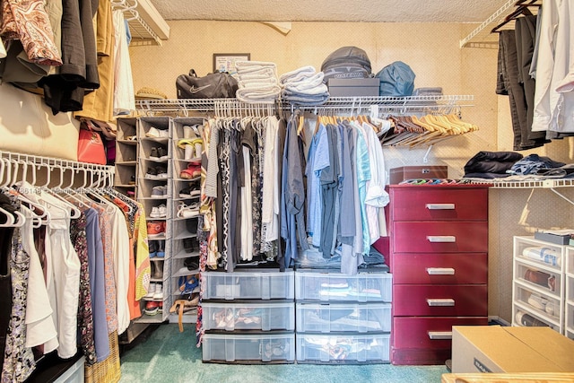 7215 SW 16th St, Miami, FL 33155 - spacious closet featuring carpet floors