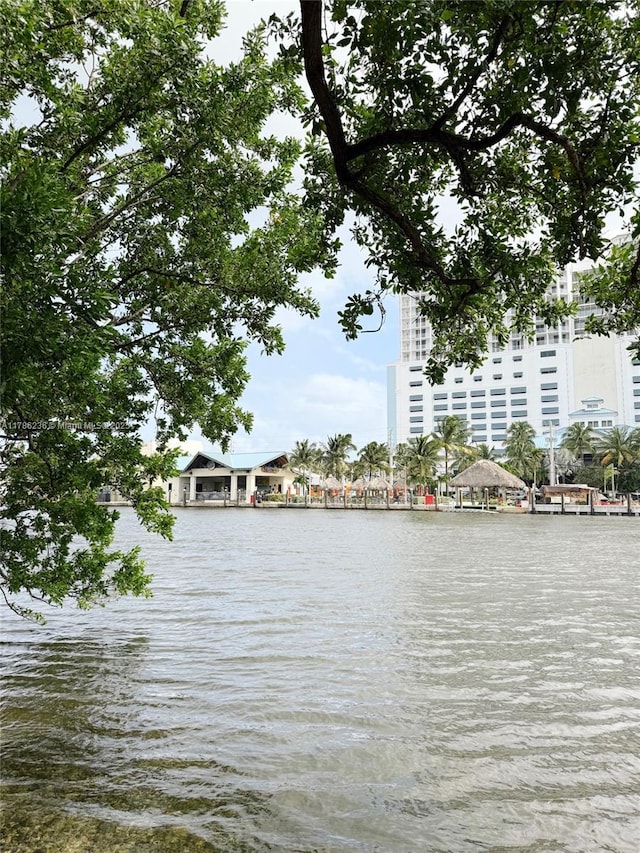 view of water feature