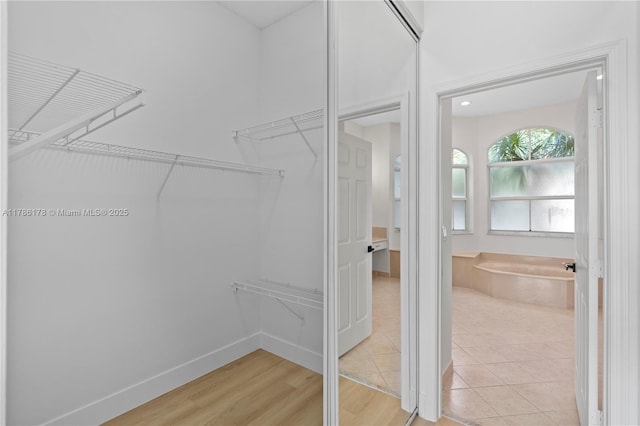 spacious closet featuring light wood finished floors