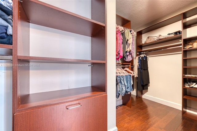 1454 Newhaven Point Ln, West Palm Beach, FL 33411 - walk in closet featuring dark wood-style flooring