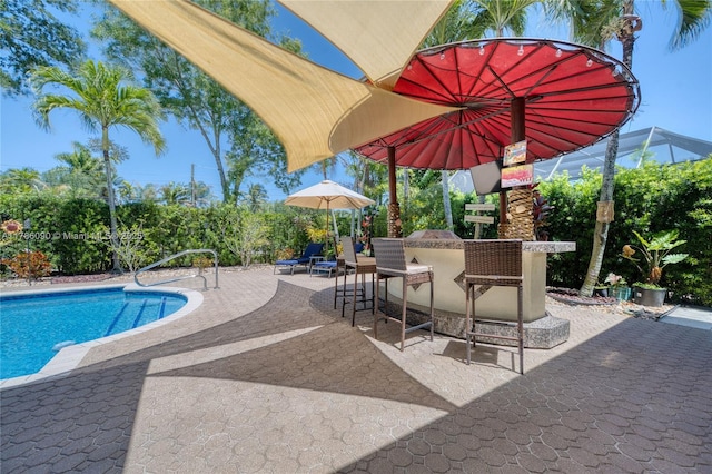 1454 Newhaven Point Ln, West Palm Beach, FL 33411 - swimming pool featuring a patio