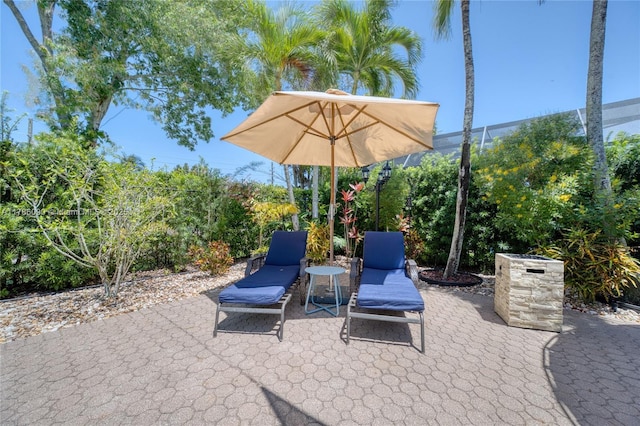 1454 Newhaven Point Ln, West Palm Beach, FL 33411 - view of patio / terrace